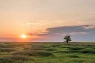 Sunset over the fields