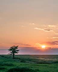 Sunset over the fields