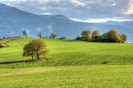 Fields near Plovdiv