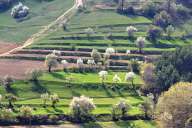 Spring fields near the Rhodope villages