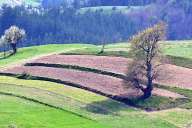 Spring fields near the Rhodope villages