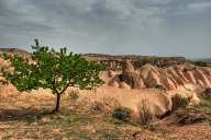 Many rock formations in Cappadocia