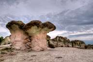 Stone mushrooms