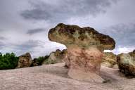 Stone mushrooms