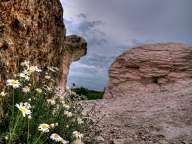 Stone mushrooms