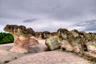 Stone mushrooms