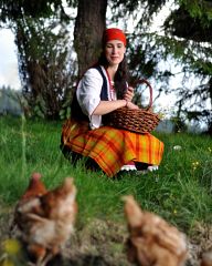 Girl feeds chickens 
(model: Stella Tasheva)