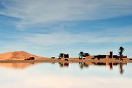 Oasis in Sahara