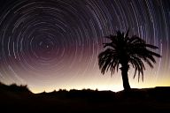 Startrails in Sahara