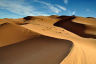 Sand dunes of the Sahara