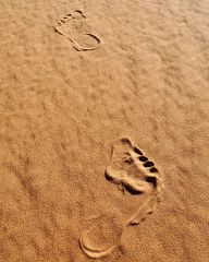 Steps in the Desert