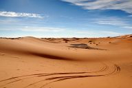 Tracks in the Desert