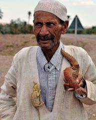 Moroccan male