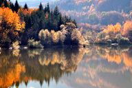 Autumn reflections