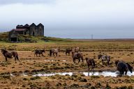 Somewhere in Iceland