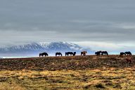 Somewhere in Iceland