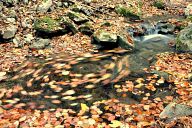 Creek near the path