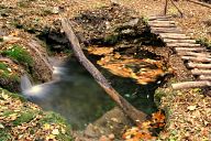 Creek near the path