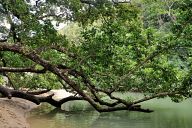 Somewhere on the island of Palawan