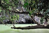 Underground river of Puerto Princesa