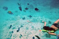 Snorkelling in the sea