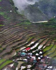 Rice terraces