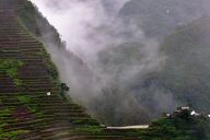 Rice terraces