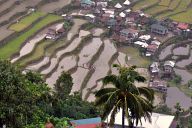 Rice terraces