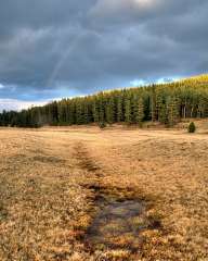 Meadow near Yundola