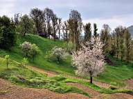 Villages in the Rhodopes