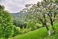 Villages in the Rhodopes