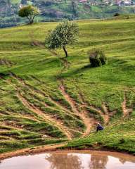 Fields near Kardzhali