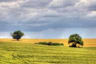 Fields near Stara Zagora