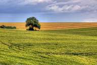 Fields near Stara Zagora