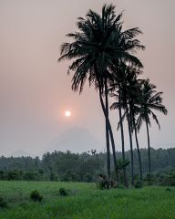 Sunset over the field