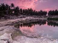 Purple sunset over the pond