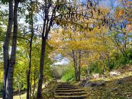 По стъпалата в парка