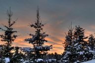 Icy Morning at Tsigov Chark