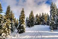 Снежни пейзажи от Пампорово