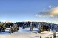 Снежни пейзажи от Пампорово