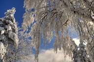 Winter landscapes from Rhodope