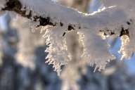 Winter landscapes from Rhodope