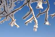 Winter landscapes from Rhodope