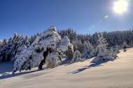 Winter landscapes from Rhodope