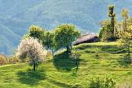 Villages in the Rhodopes