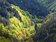 Rhodopes