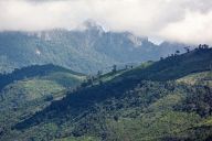 Landscapes near Mekong