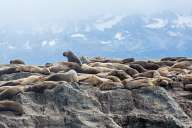 The coast of Ushuaia