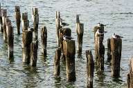 From the coast of Puerto Natales