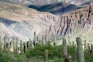 Crossing in the Andean